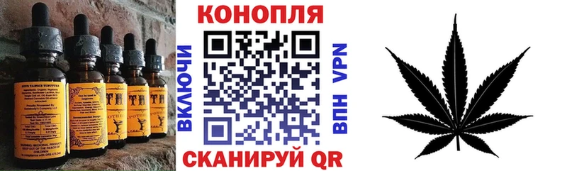 KRAKEN ссылка  Болотное  Cannafood конопля 
