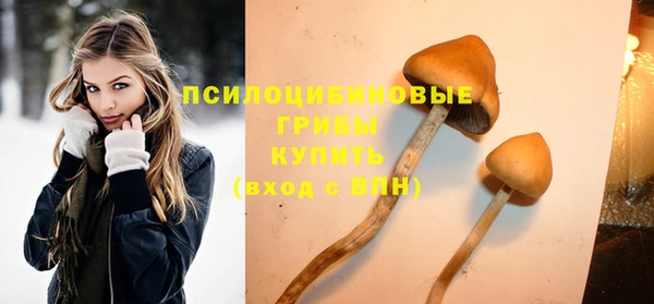 соль ск Белокуриха