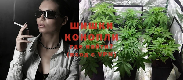 соль ск Белокуриха