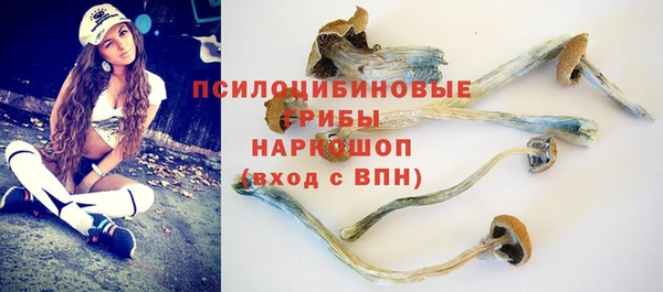 синтетический гашиш Богородицк