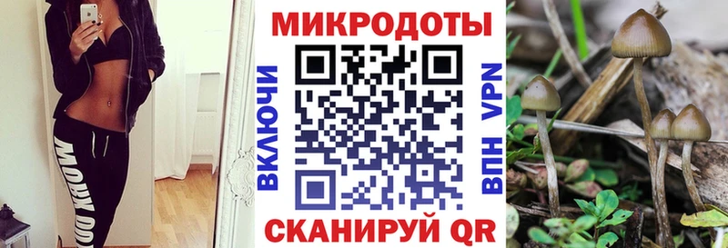 блэк спрут рабочий сайт  Болотное  Псилоцибиновые грибы мухоморы  наркота 